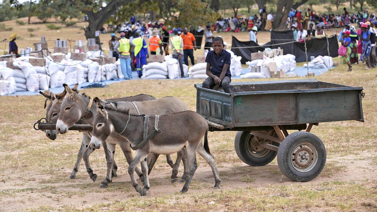 Africa surpasses Asia with highest population facing hunger: UN
